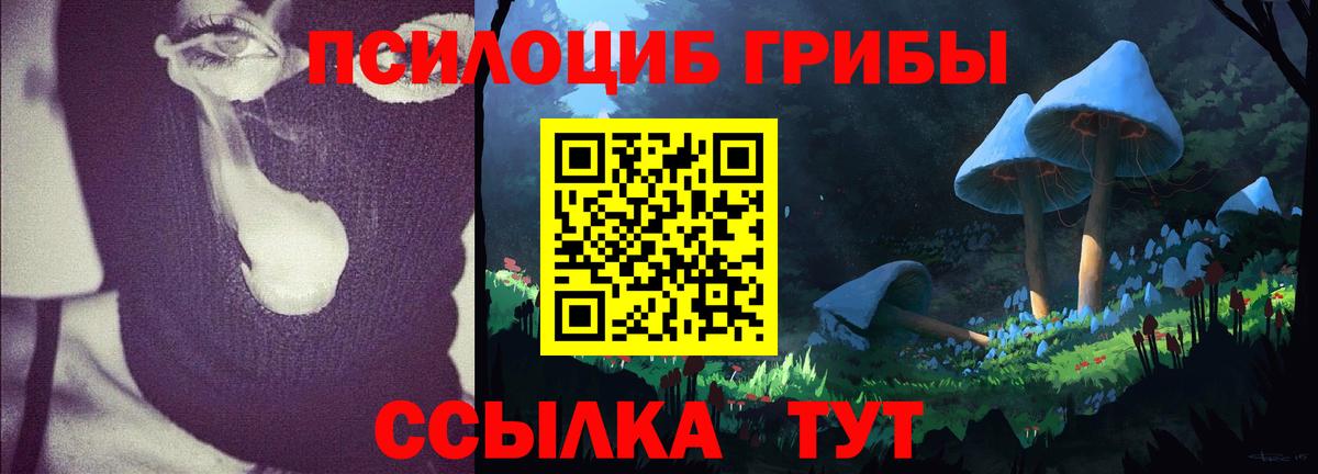 Новокуйбышевск  Псилоцибиновые грибы Magic Shrooms  Вход с VPN 